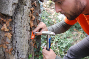 Reduce uncertainty.  Conduct tree risk assessments on public or private trees using current industry methods and state of the art technology.  Internationally recognized experts in this field.